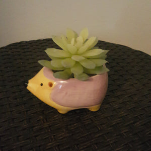 L' herisson artificial succulent plant