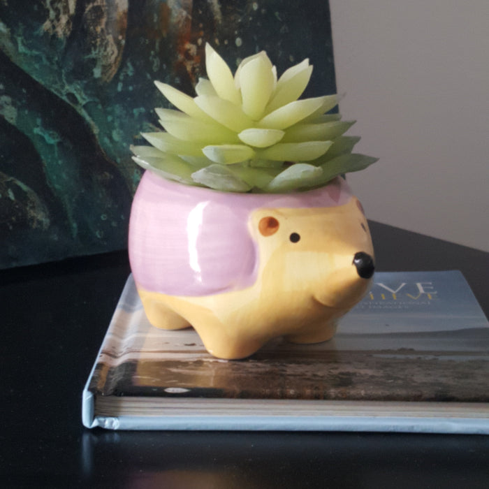 L' herisson artificial succulent plant