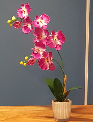 Silk Purple Orchid