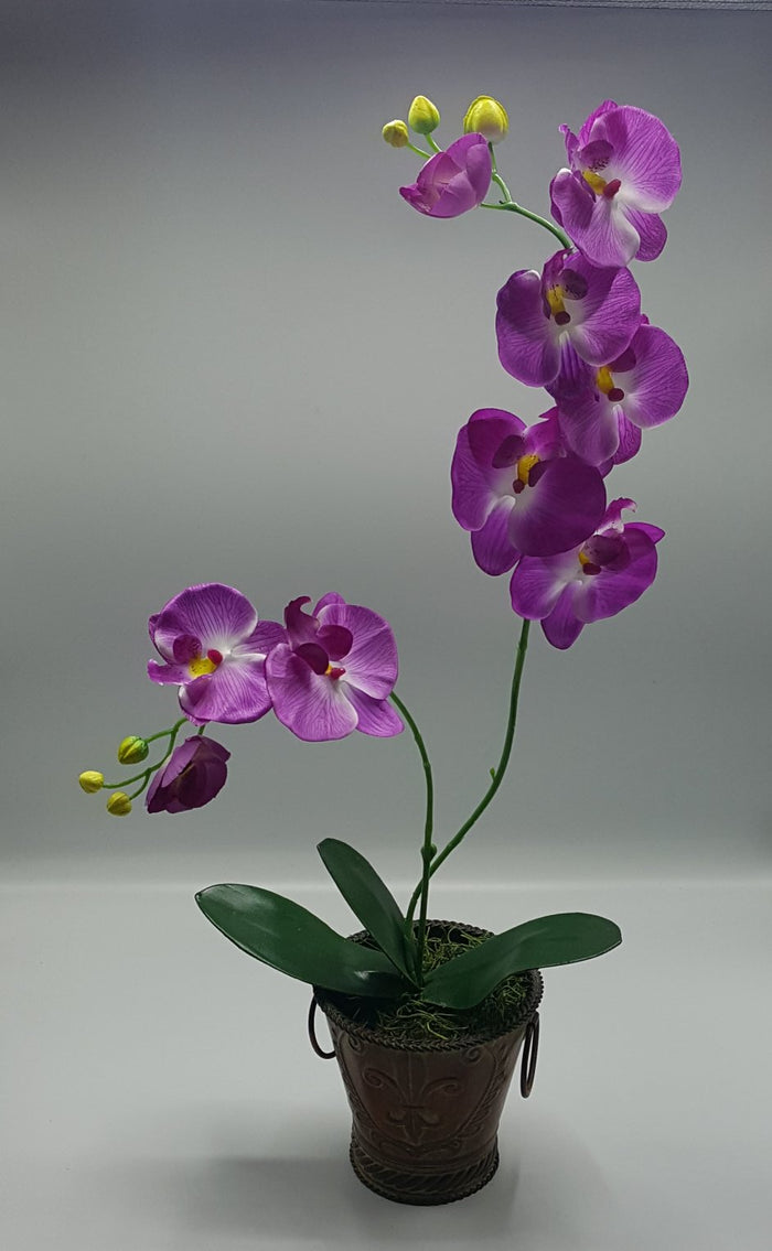 Faux  Phalaenopsis Orchid - Purple