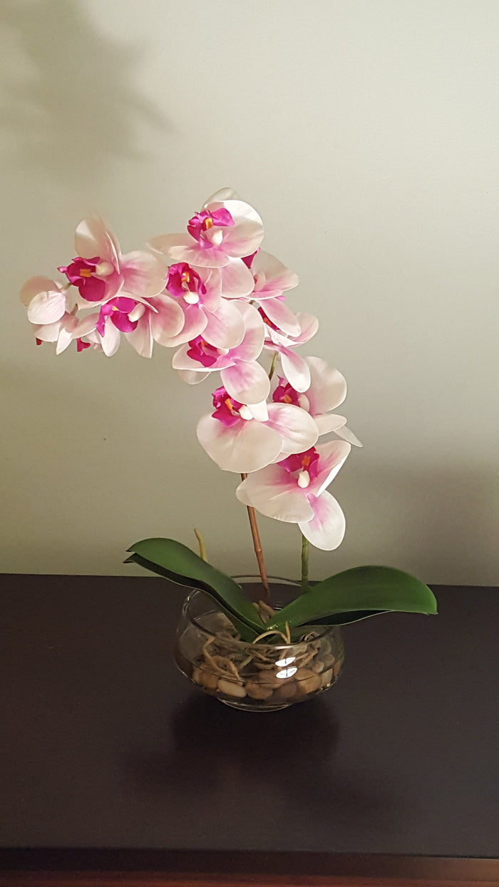 Phalaenopsis Orchid Floral arrangement