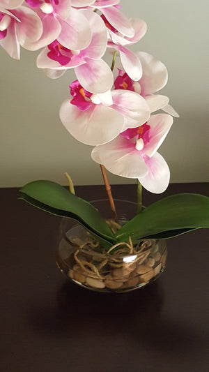 Phalaenopsis Orchid Floral arrangement