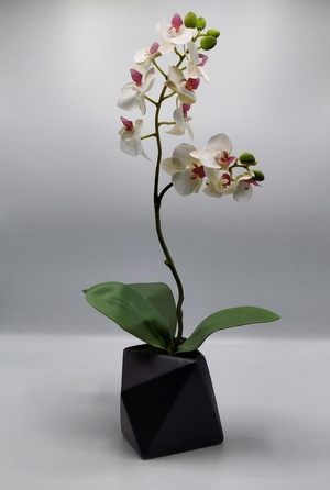 19" White Real Touch Phalaenopsis Orchid