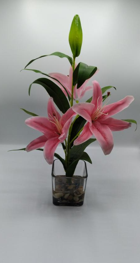 19" Rubrum Lily in Pink