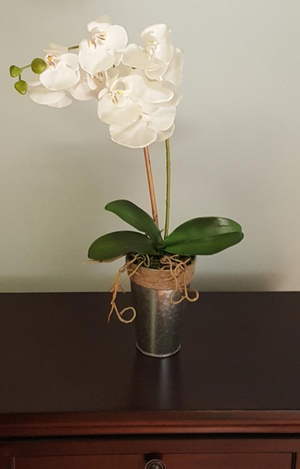 24" WHITE PHALAENOPSIS ORCHID IN METAL VASE WITH ROPE