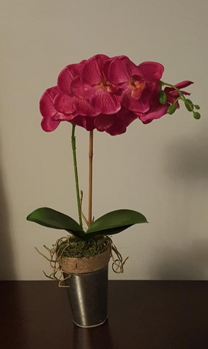 Faux Fuchsia Phalaenopsis Orchid