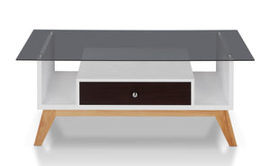 Philip  Coffee Table with Storage (Available in 3 colors)