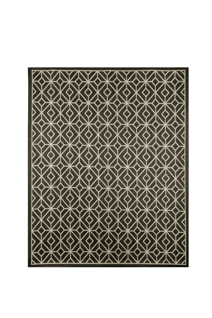 Hexa Contemporary Indoor / Outdoor Area Rug in Charcoal Gray