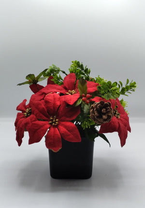 Red Velvet Poinsettia