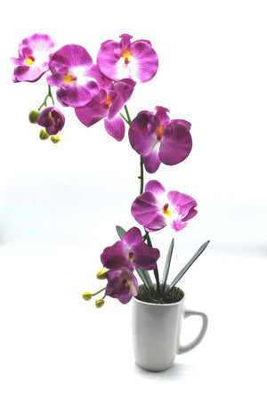 20" Faux Phalaenopsis Orchid - Magenta