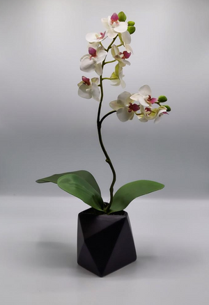 19" White Real Touch Phalaenopsis Orchid
