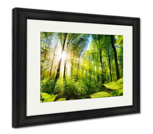 Framed Print, Scenic Forest Of Fresh Green Deciduous Trees Framed By Leaves With The Sun