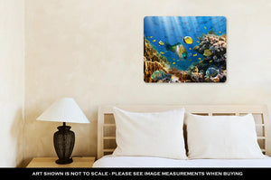 Coral And Fish In The Red Sea Egypt