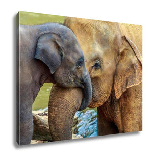 Elephant And Baby Elephant