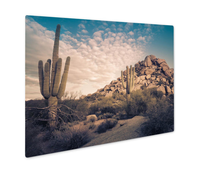 Desert Landscape Scottsdale Phoenix Arizona