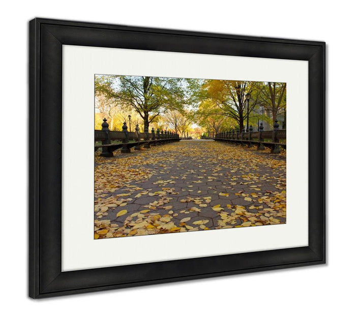 Autumn In Central Park New York