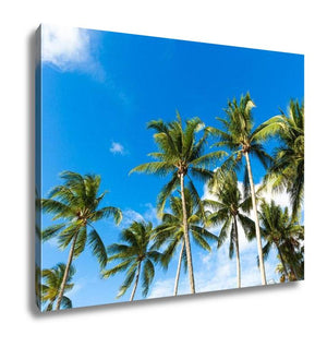Tropical Palm Trees In The Blue Sunny Sky