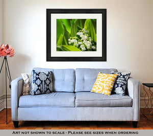 Blooming Lily